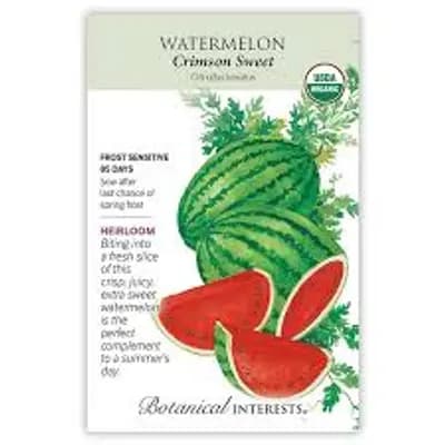 Watermelon Seeds